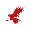 Hawk Hydraulics hawk emblem